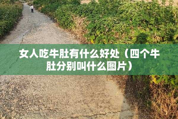 女人吃牛肚有什么好处（四个牛肚分别叫什么图片）