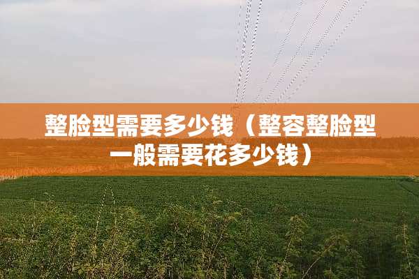 整脸型需要多少钱（整容整脸型一般需要花多少钱）
