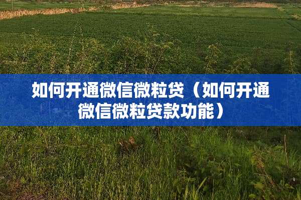 如何开通微信微粒贷（如何开通微信微粒贷款功能）