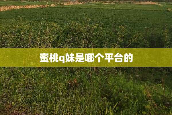 **q妹是哪个平台的