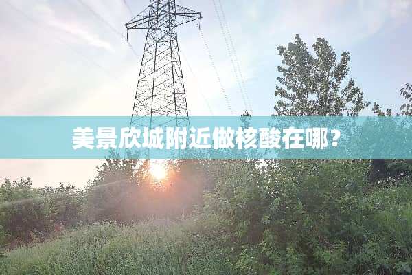 美景欣城附近做核酸在哪？