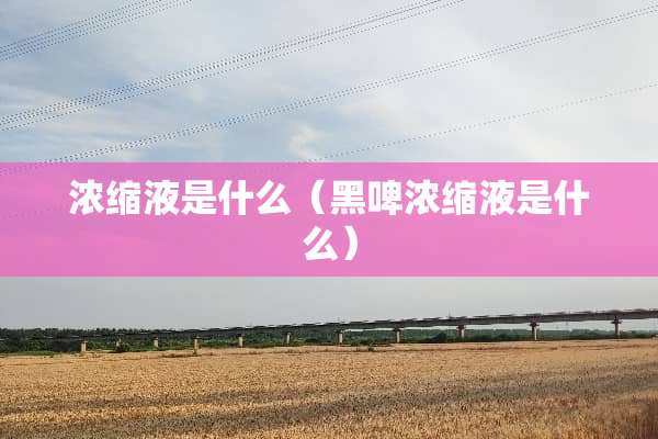 浓缩液是什么（黑啤浓缩液是什么）