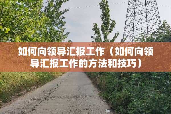 如何向领导汇报工作（如何向领导汇报工作的方法和技巧）