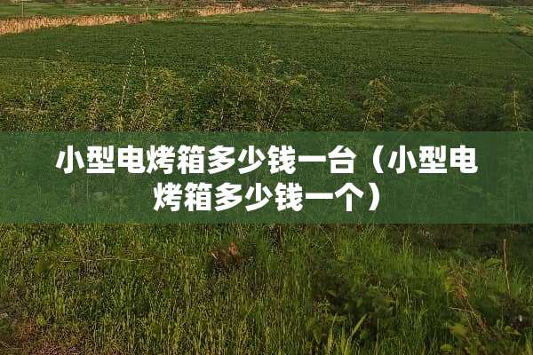 小型电烤箱多少钱一台（小型电烤箱多少钱一个）