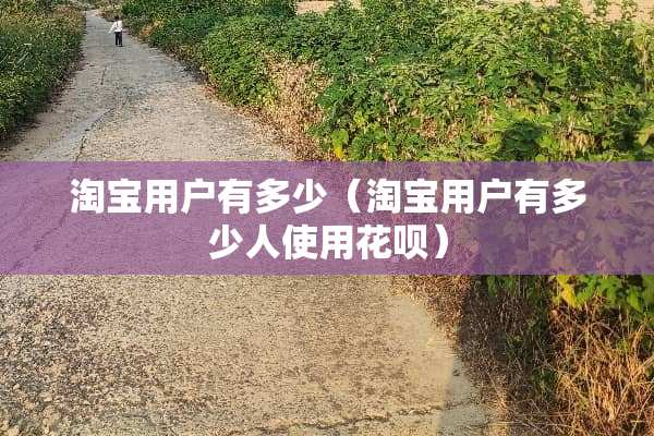淘宝用户有多少（淘宝用户有多少人使用花呗）