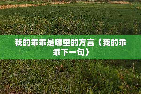 我的乖乖是哪里的方言（我的乖乖下一句）