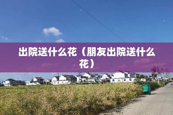 出院送什么花（朋友出院送什么花）