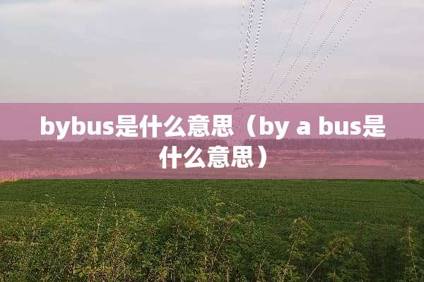 bybus是什么意思（by a bus是什么意思）