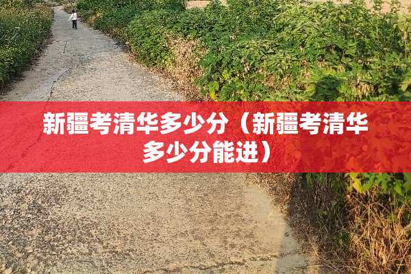 新疆考清华多少分（新疆考清华多少分能进）