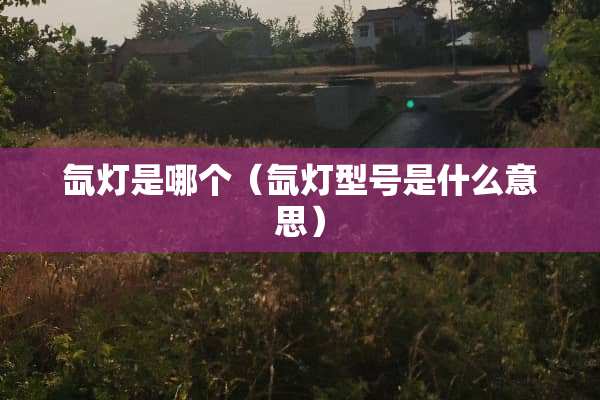 氙灯是哪个（氙灯型号是什么意思）