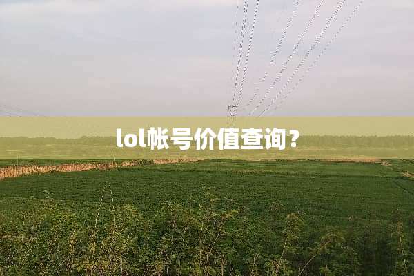 lol帐号价值查询？