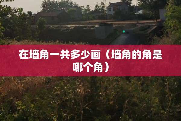 在墙角一共多少画（墙角的角是哪个角）