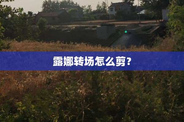 露娜转场怎么剪？
