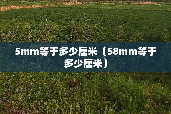5mm等于多少厘米（58mm等于多少厘米）