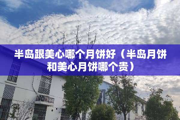 半岛跟美心哪个月饼好（半岛月饼和美心月饼哪个贵）