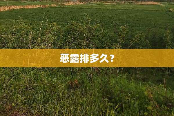 恶露排多久？