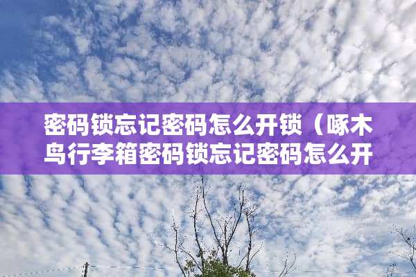 密码锁忘记密码怎么**（啄木鸟行李箱密码锁忘记密码怎么**）