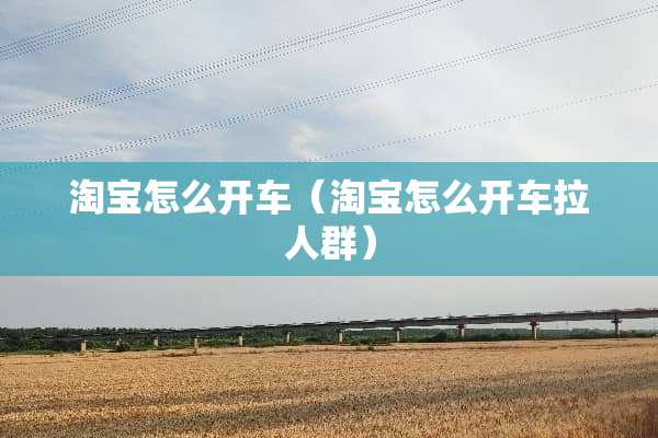 淘宝怎么开车（淘宝怎么开车拉人群）