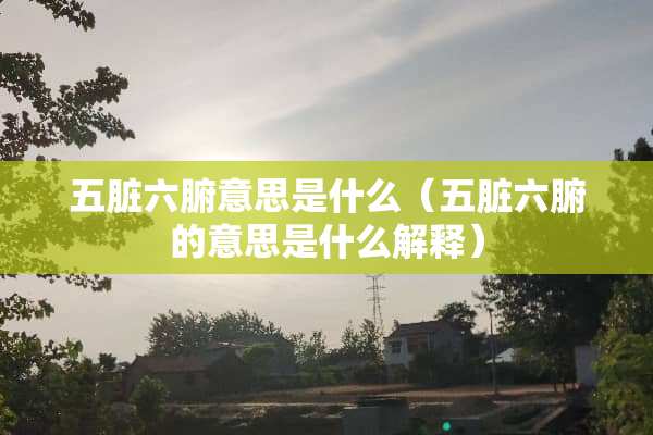 五脏六腑意思是什么（五脏六腑的意思是什么解释）