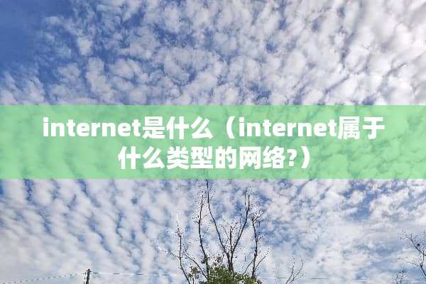 internet是什么（internet属于什么类型的网络?）