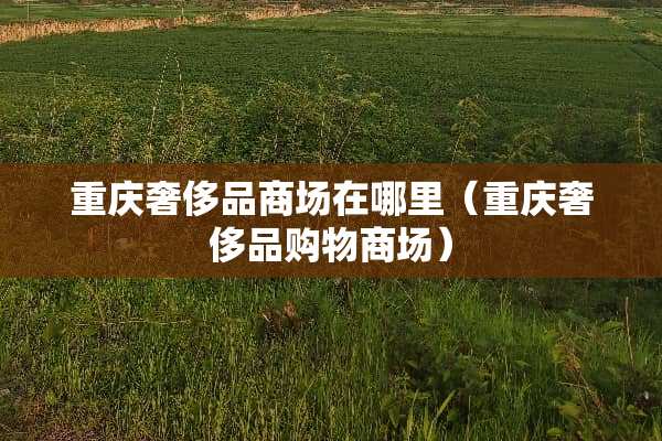 重庆奢侈品商场在哪里（重庆奢侈品购物商场）