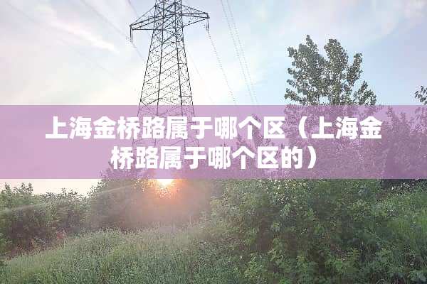 上海金桥路属于哪个区（上海金桥路属于哪个区的）