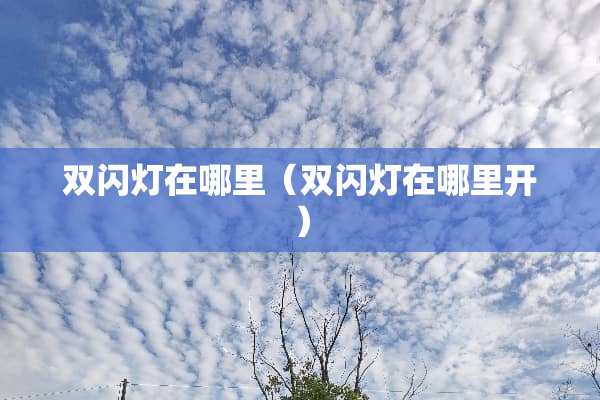 双闪灯在哪里（双闪灯在哪里开）
