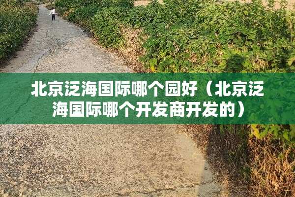 北京泛海国际哪个园好（北京泛海国际哪个开发商开发的）