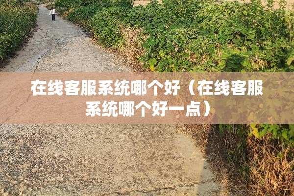 在线客服系统哪个好（在线客服系统哪个好一点）