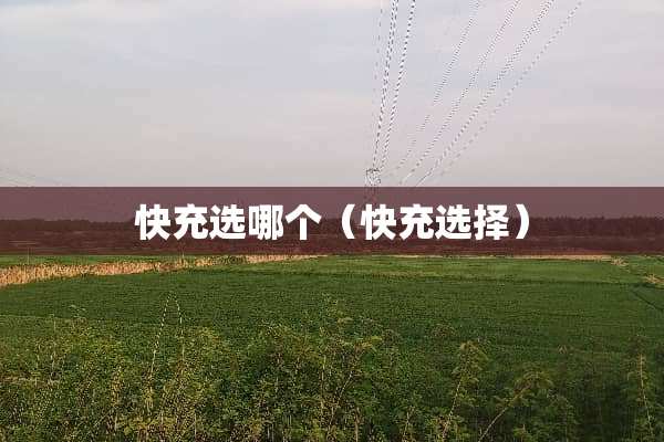 快充选哪个（快充选择）
