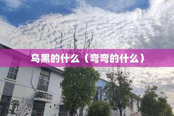 乌黑的什么（弯弯的什么）