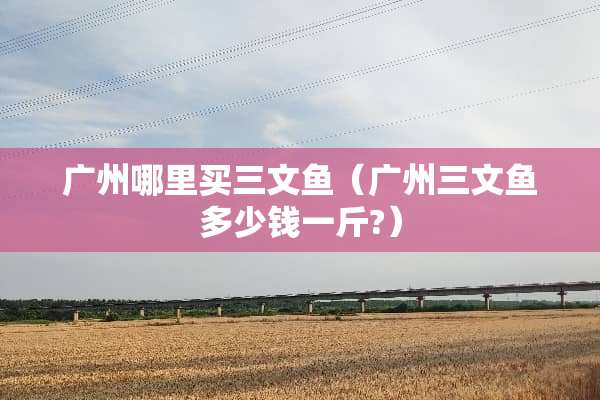 广州哪里买三文鱼（广州三文鱼多少钱一斤?）