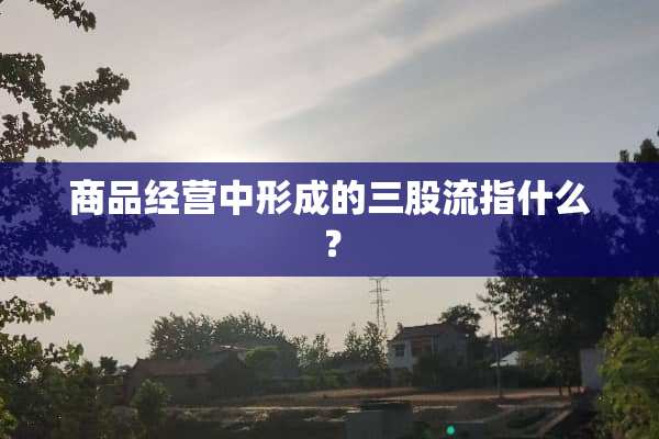 商品经营中形成的三股流指什么？