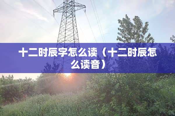 十二时辰字怎么读（十二时辰怎么读音）