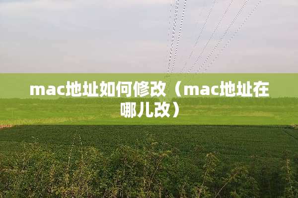 mac地址如何修改（mac地址在哪儿改）
