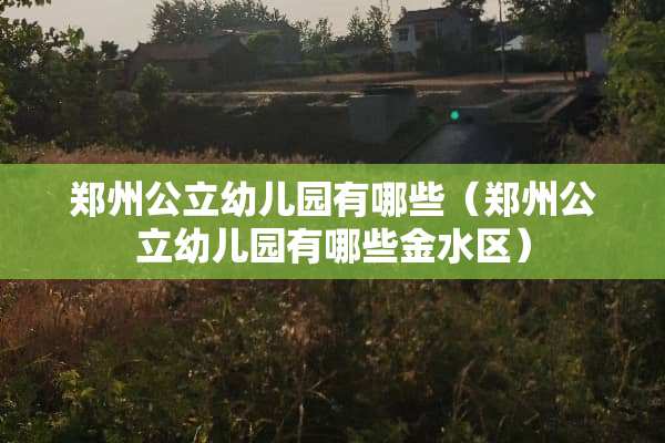 郑州公立幼儿园有哪些（郑州公立幼儿园有哪些金水区）