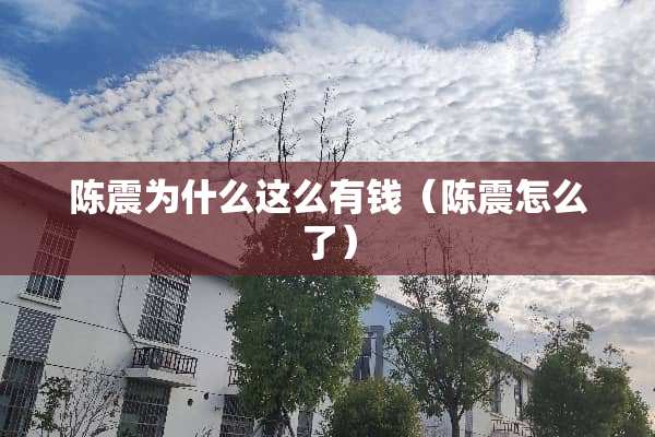 陈震为什么这么有钱（陈震怎么了）