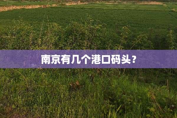 南京有几个港口码头？