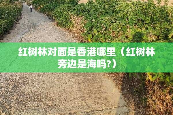红树林对面是香港哪里（红树林旁边是海吗?）