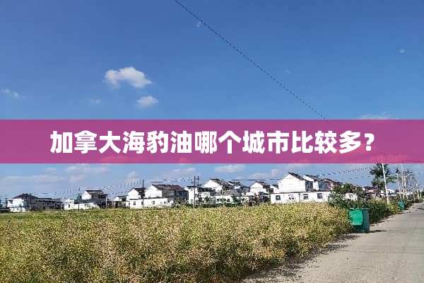 加拿大海豹油哪个城市比较多？
