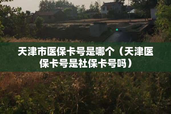天津市医保卡号是哪个（天津医保卡号是社保卡号吗）