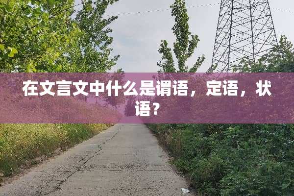 在文言文中什么是谓语，定语，状语？