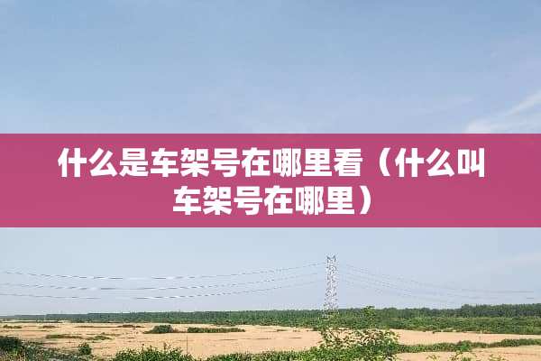 什么是车架号在哪里看（什么叫车架号在哪里）