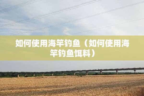 如何使用海竿钓鱼（如何使用海竿钓鱼饵料）
