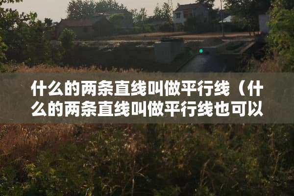 什么的两条直线叫做平行线（什么的两条直线叫做平行线也可以说这两条直线什么）