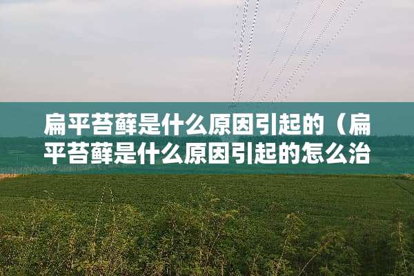 扁平苔藓是什么原因引起的（扁平苔藓是什么原因引起的怎么治疗）