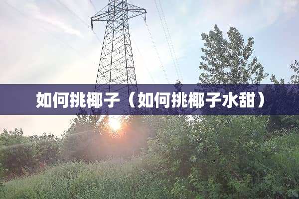如何挑椰子（如何挑椰子水甜）