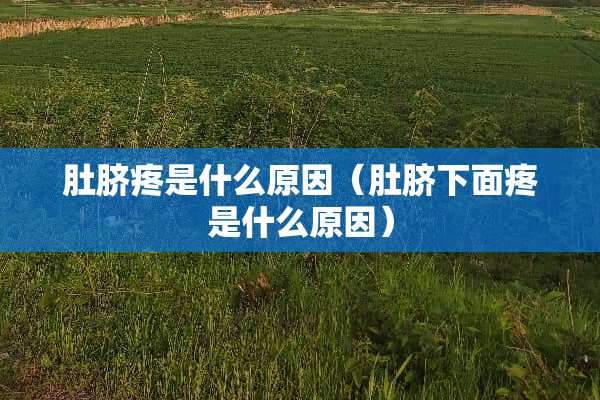 肚脐疼是什么原因（肚脐下面疼是什么原因）