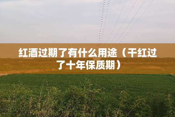 红酒过期了有什么用途（干红过了十年保质期）