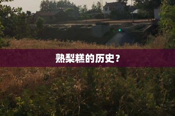 熟梨糕的历史？